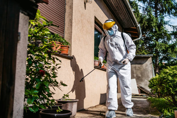 Best Best Pest Control Companies  in Waverly, VA